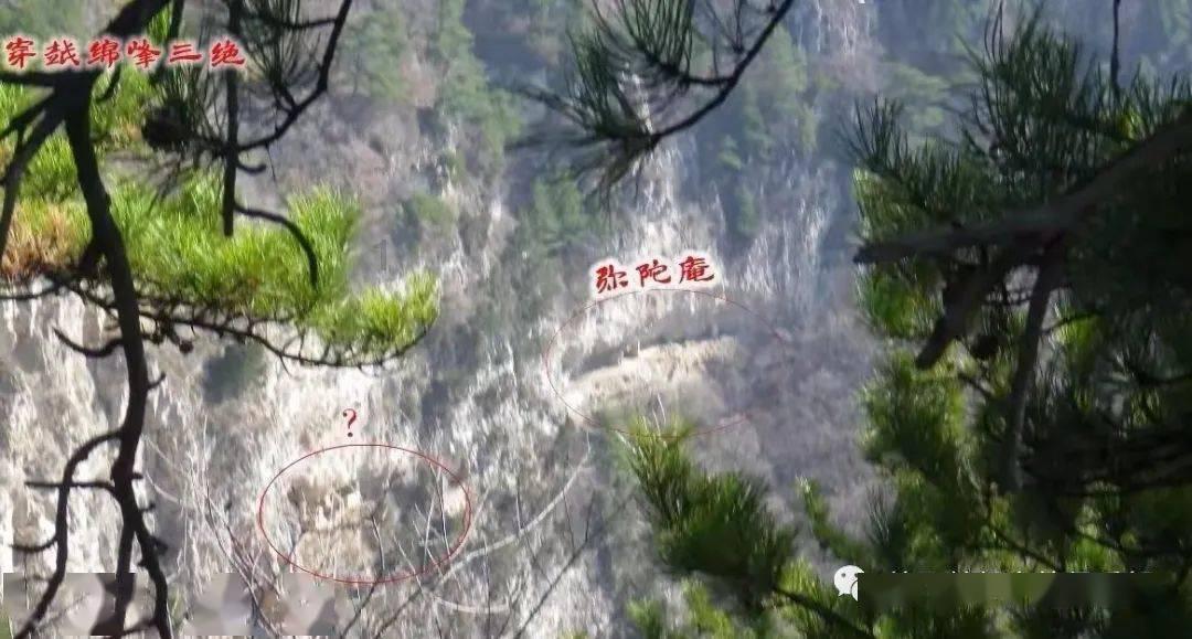你去旅游会选择和父母一起吗？游戏画面